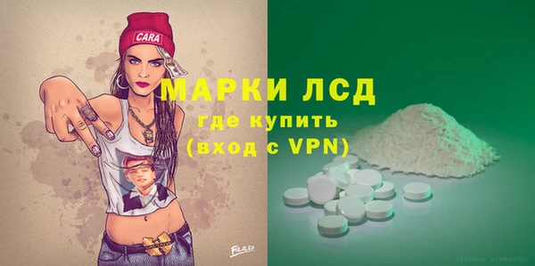 прущие грибы Бугульма