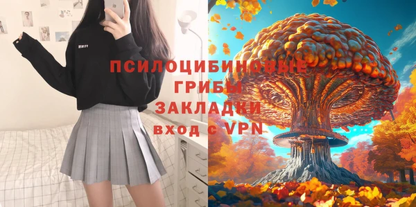 прущие крисы Бронницы