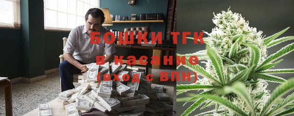 прущие грибы Бугульма