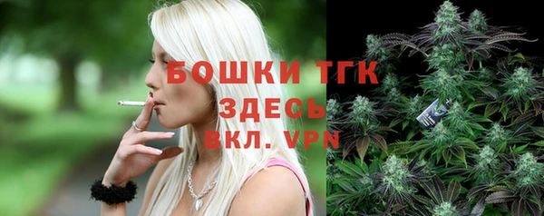 прущие грибы Бугульма