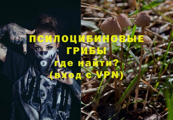 прущие грибы Бугульма