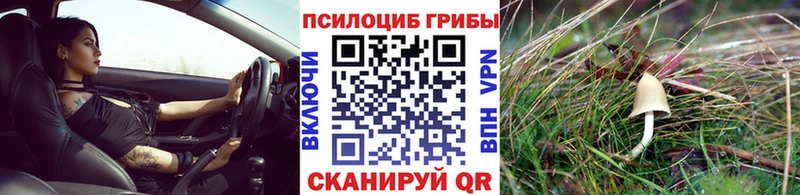 где купить   Подольск  ссылка на мегу зеркало  Псилоцибиновые грибы MAGIC MUSHROOMS 