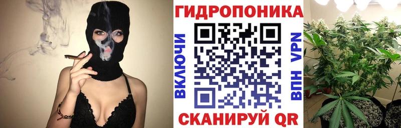 наркотики  Подольск  Канабис индика 